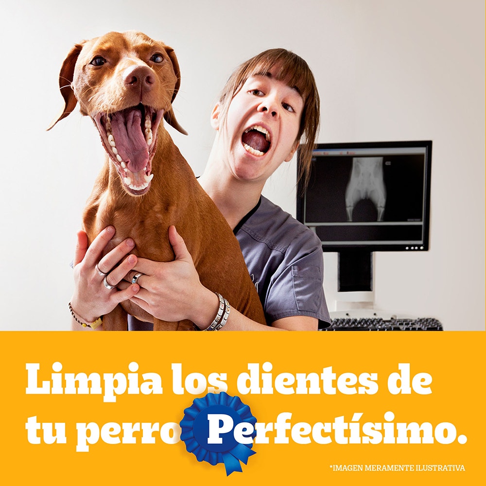 Pedigree Dentastix para Perro Adulto Raza Pequeña - 5