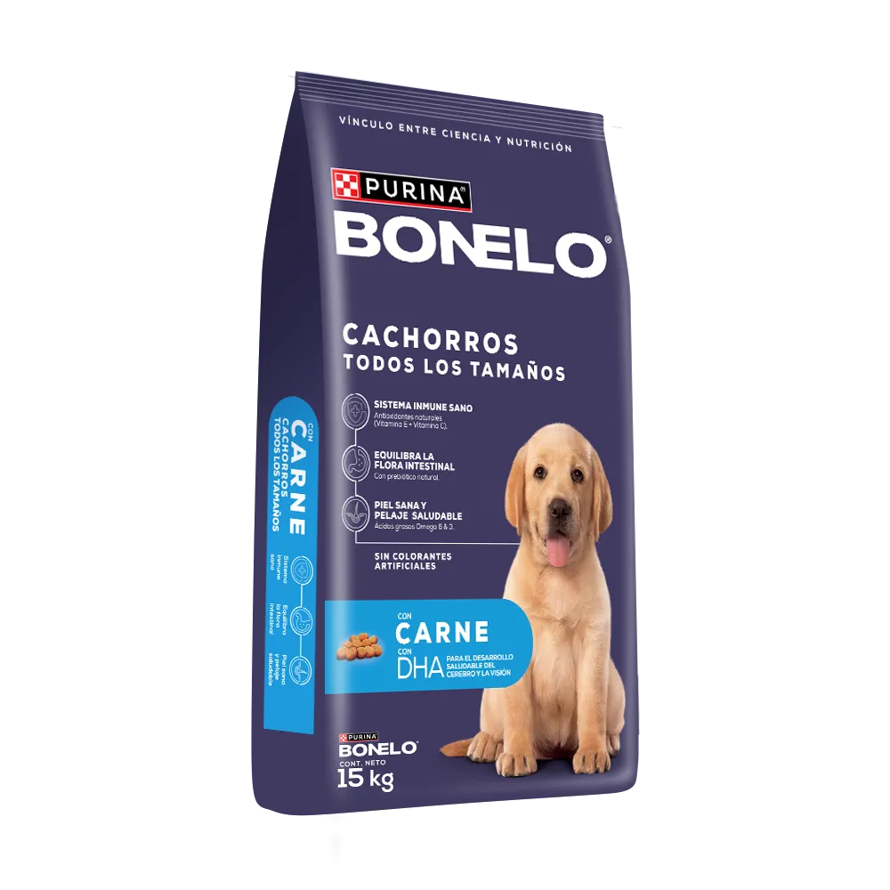 Bonelo Cachorros Todos los tamaños - 4