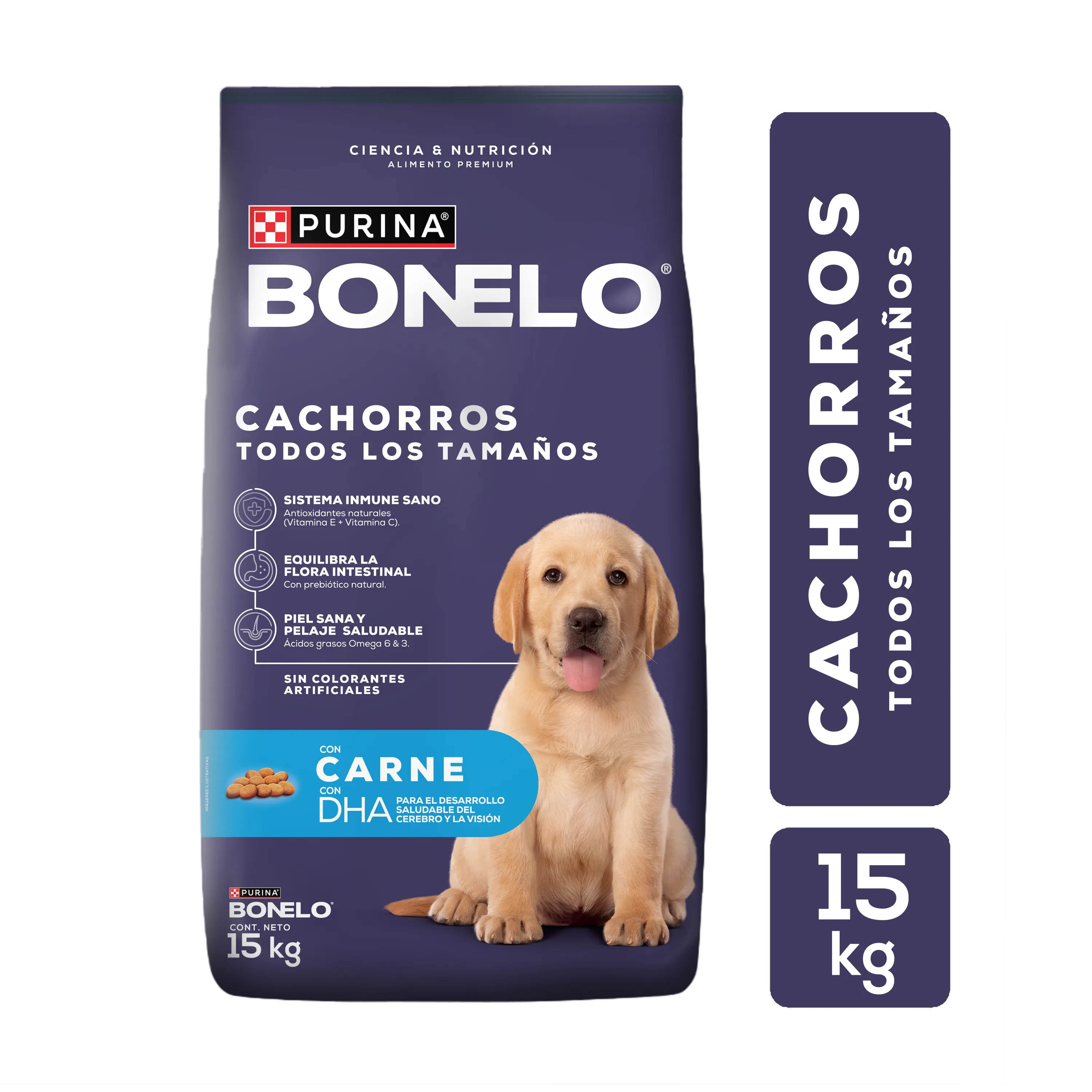 Bonelo Cachorros Todos los tamaños - 2