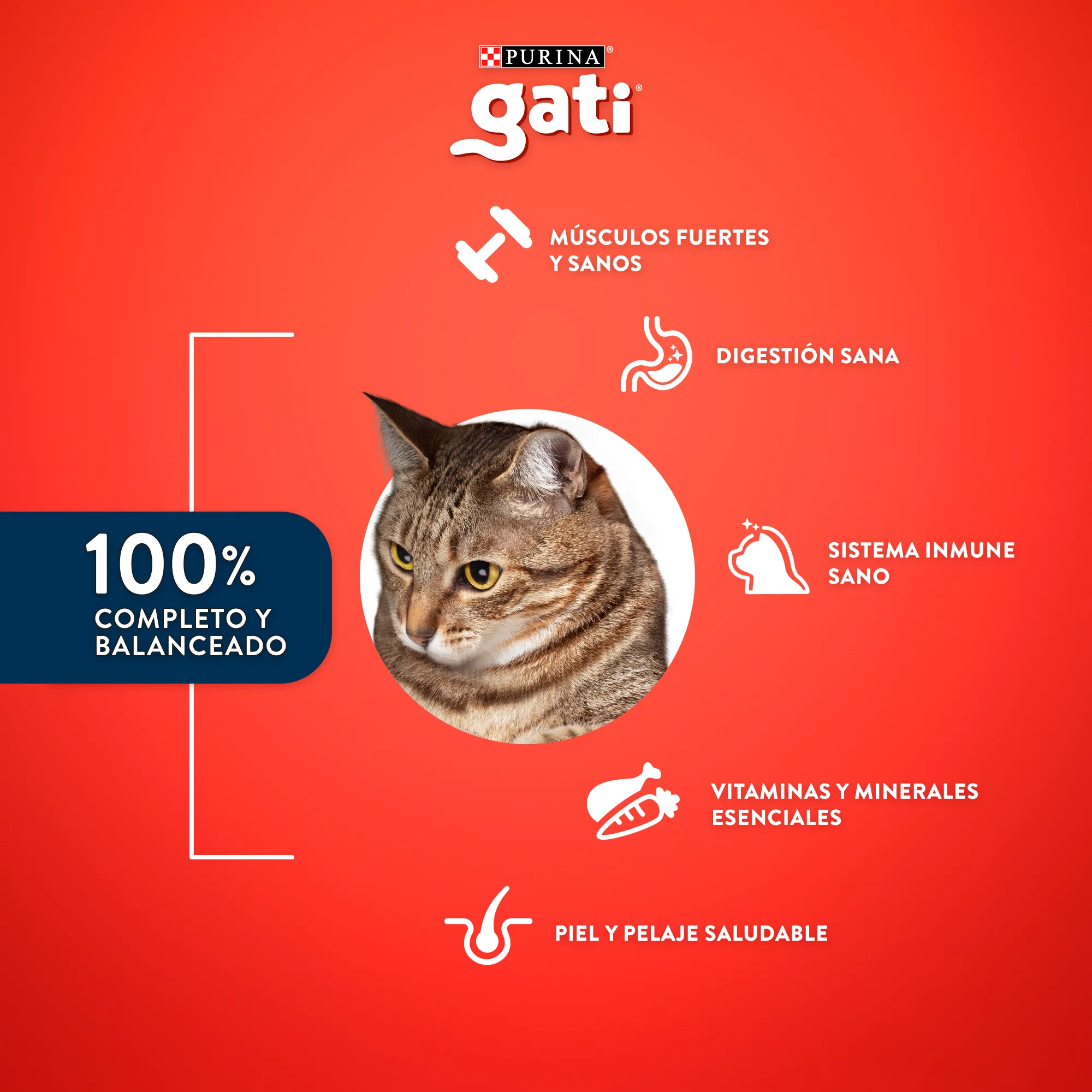 Gati Pescado y Salmón a la Primavera para Gato Adulto - 3