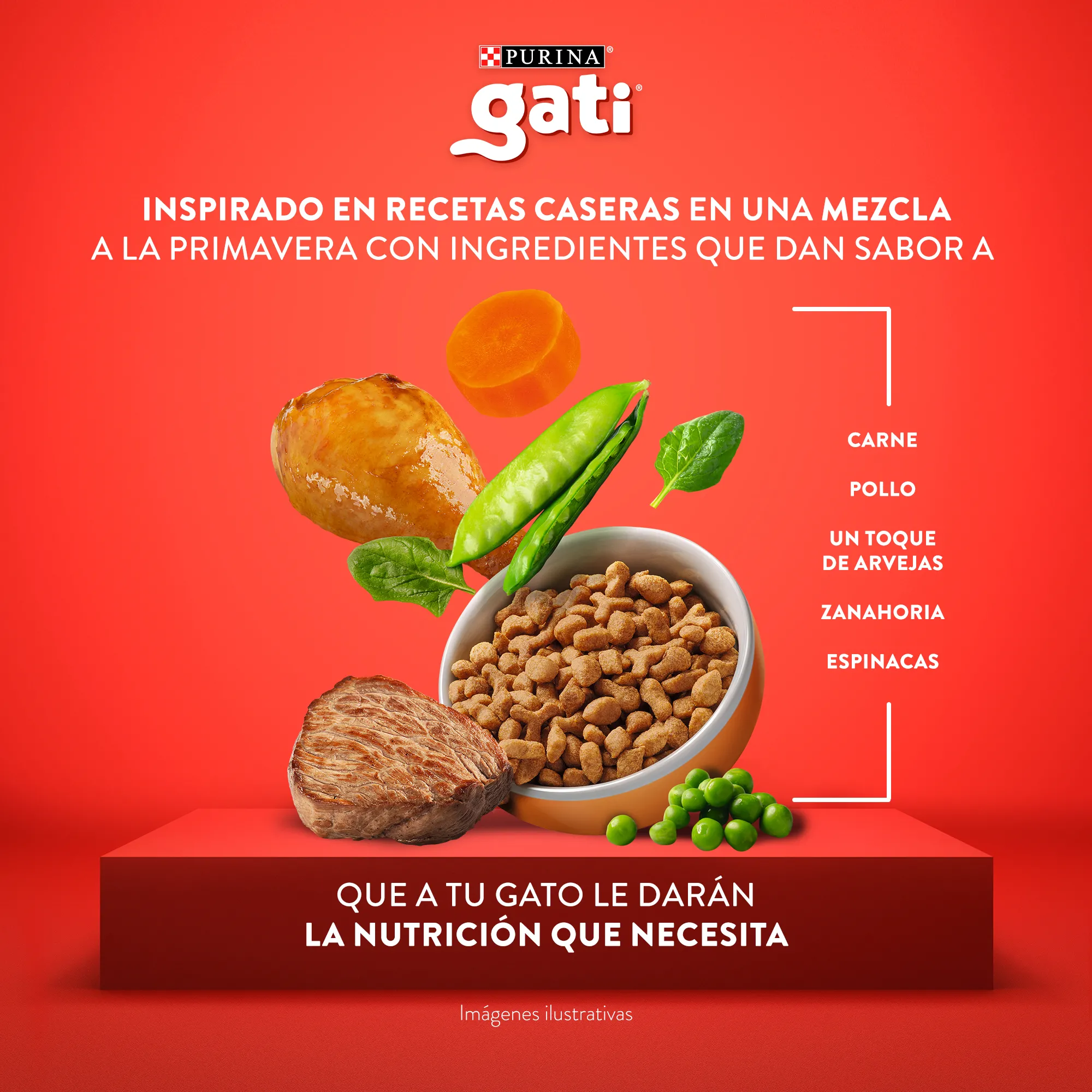 Gati Carne y Pollo a la Jardinera para Gato Adulto - 5