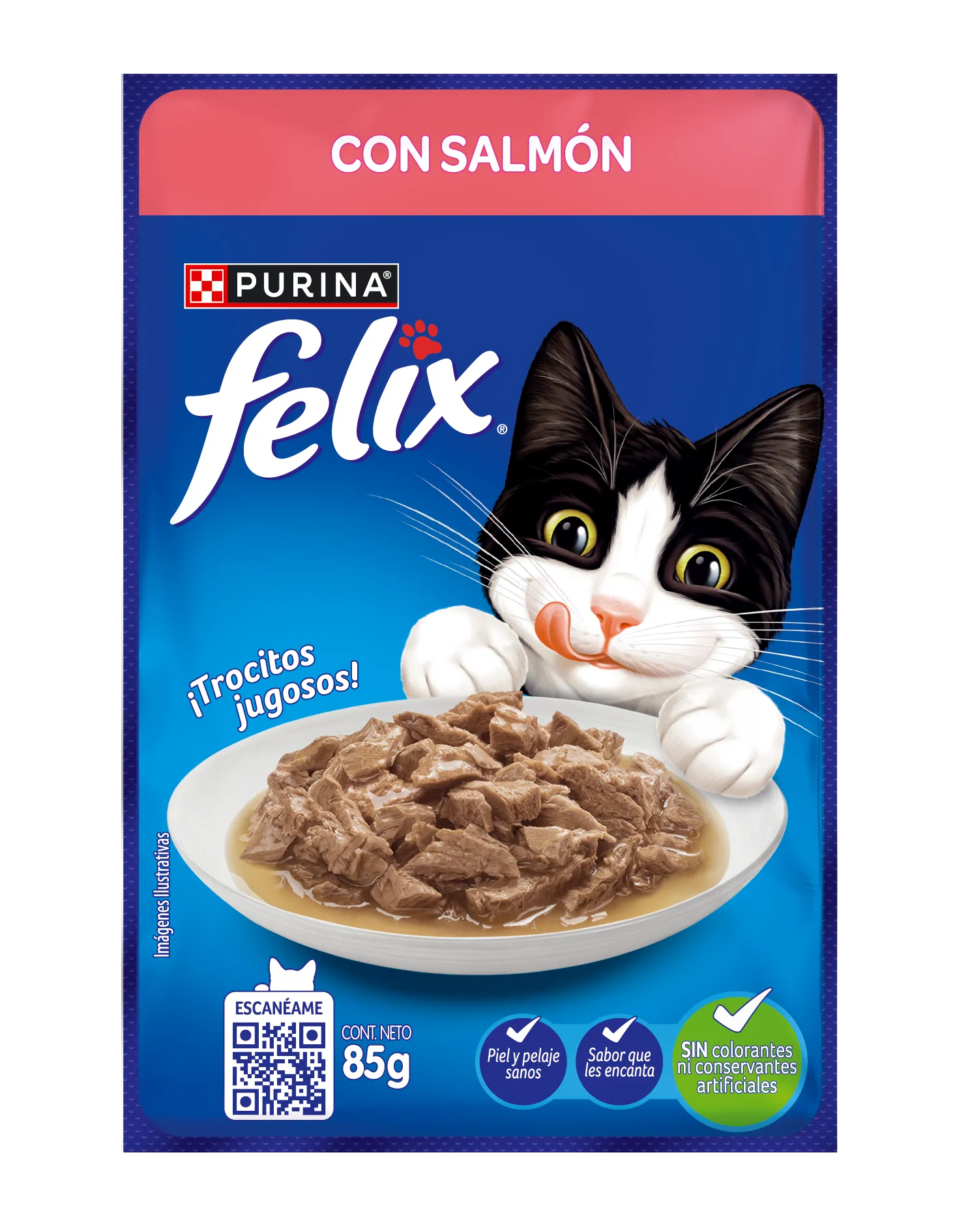 Felix Salmón para Gato Adulto - 1