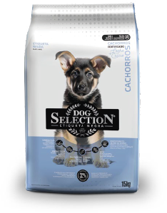 Dog Selection Cachorro - 1