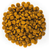 Dog Selection Cachorro - 2