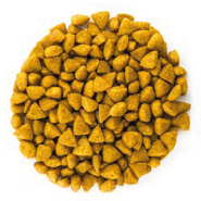 Dog Selection Adulto Pequeño para Perro Adulto Raza Pequeña - 2