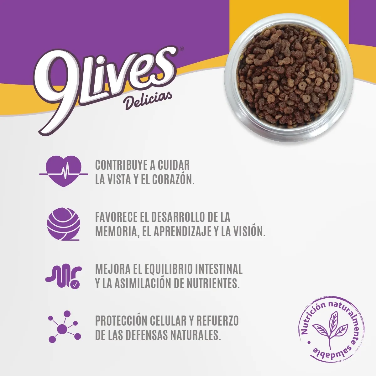 9 Lives Delicias Carne y Leche para Gato Cachorro - 3