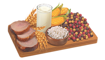 Sabrositos Cachorro - 2