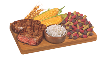 Sabrositos Mix para Perro Adulto - 2