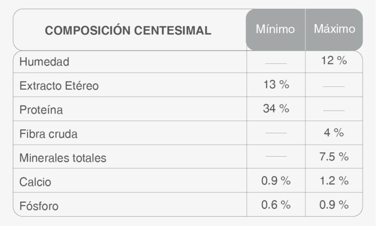 Kongo Gourmet Gato Kitten Sabor Carne y Leche - 3