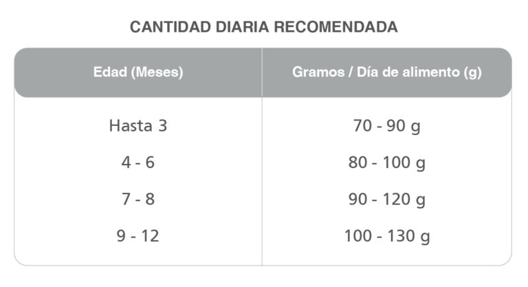 Kongo Gourmet Gato Kitten Sabor Carne y Leche - 2