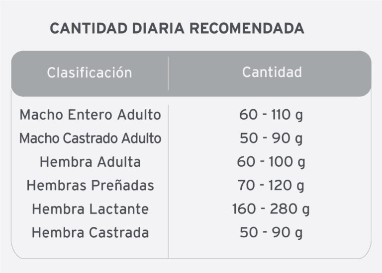 Kongo Gato Adulto Sabor Salmón y Atún - 2