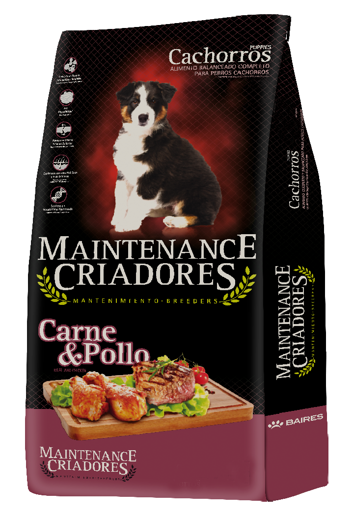 Kongo Maintenance Cachorro