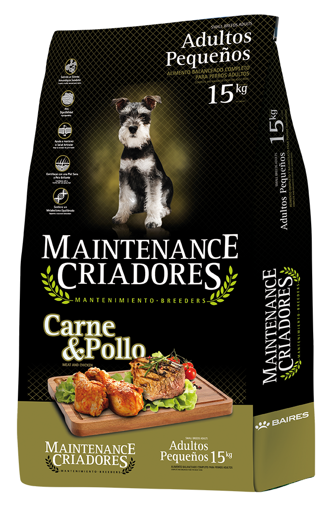 Kongo Maintenance Pequeño para Perro Adulto