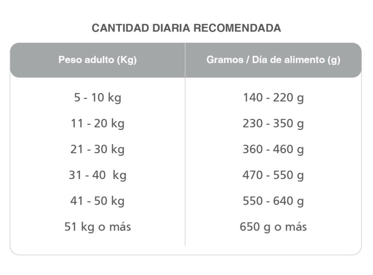 Kongo Mediana Adulto para Perro Adulto - 2