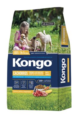 Kongo Cachorros para Perro Cachorro - 1