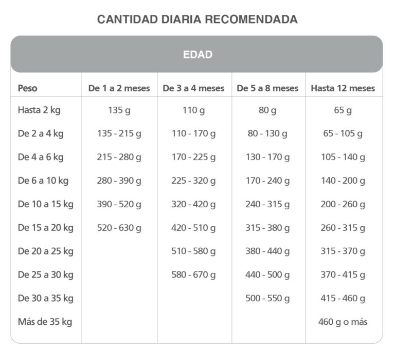 Kongo Cachorros para Perro Cachorro - 2