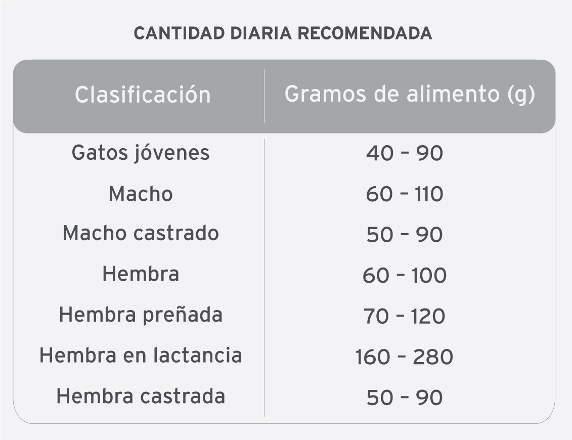 Voraz para Gato Cachorro - 2