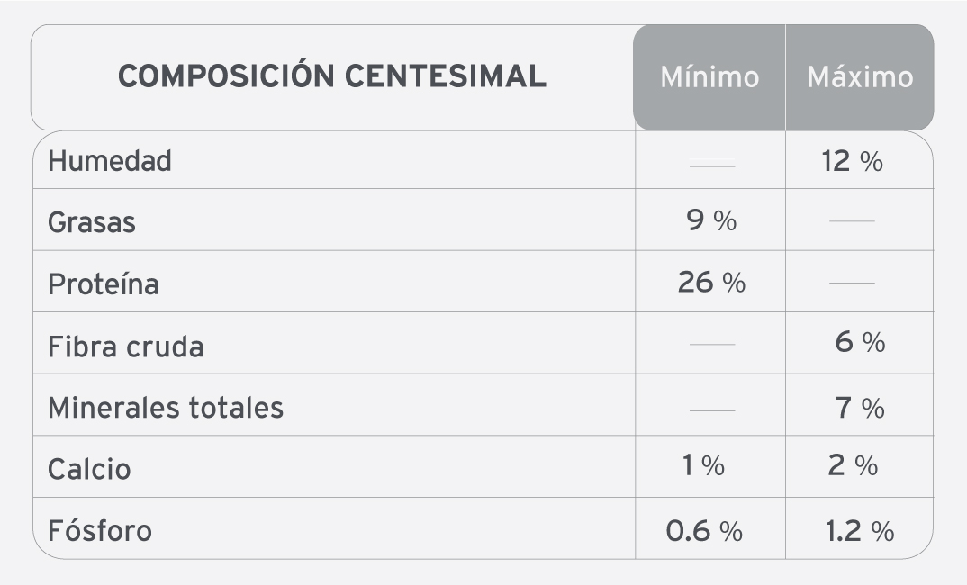 Voraz para Gato Cachorro - 3