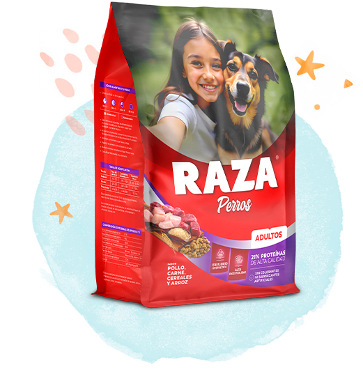 Raza Pollo y Carne para Perro Adulto