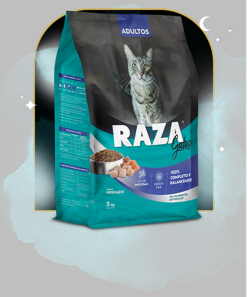 Raza Pescado para Gato Adulto