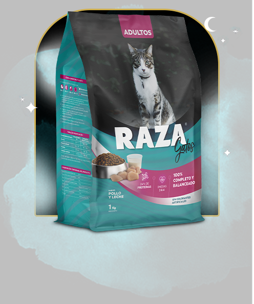 Raza Pollo y Leche para Gato Adulto