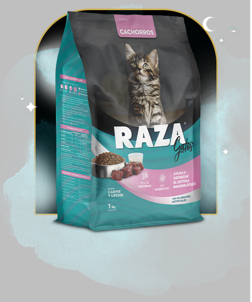 Raza Carne y Leche para Gato Cachorro