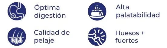 Rey Can Carne para Perro Adulto Mediana/Grande - 2