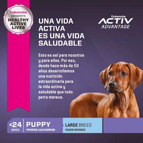 Eukanuba Puppy Large Breed - 5