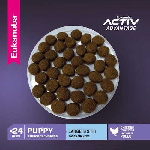 Eukanuba Puppy Large Breed - 2