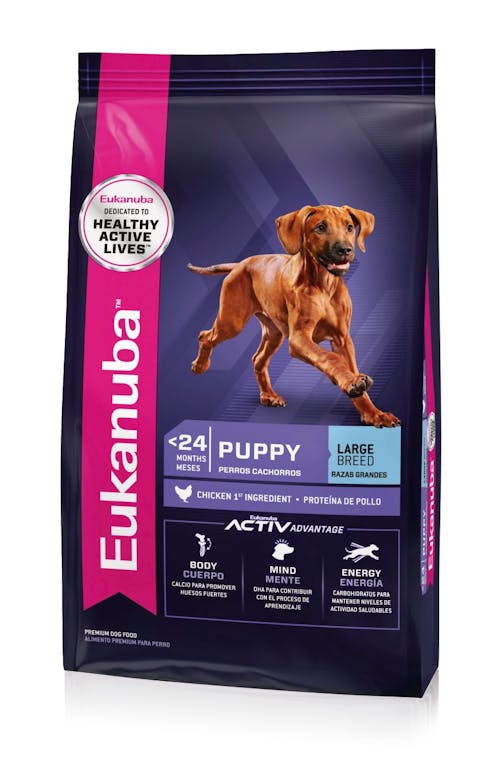 Eukanuba Puppy Large Breed - 1