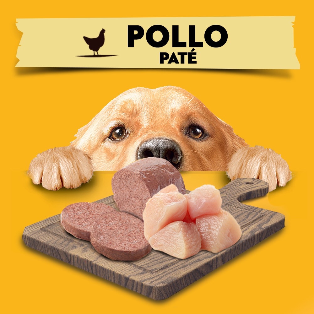 Pedigree Paté Sabor Pollo para Perro Adulto - 4