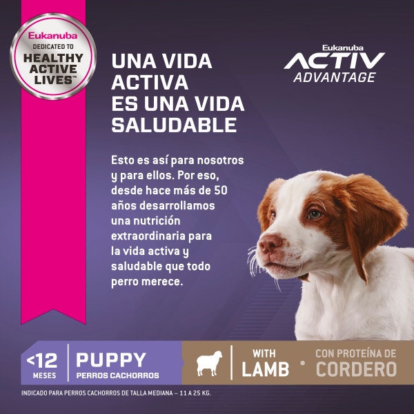 Eukanuba Cordero para Perro Cachorro Mediano - 3
