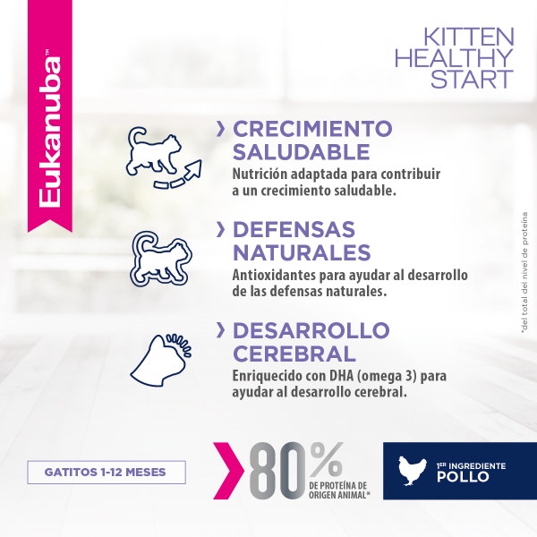 Eukanuba Gatito Healthy Start - 2