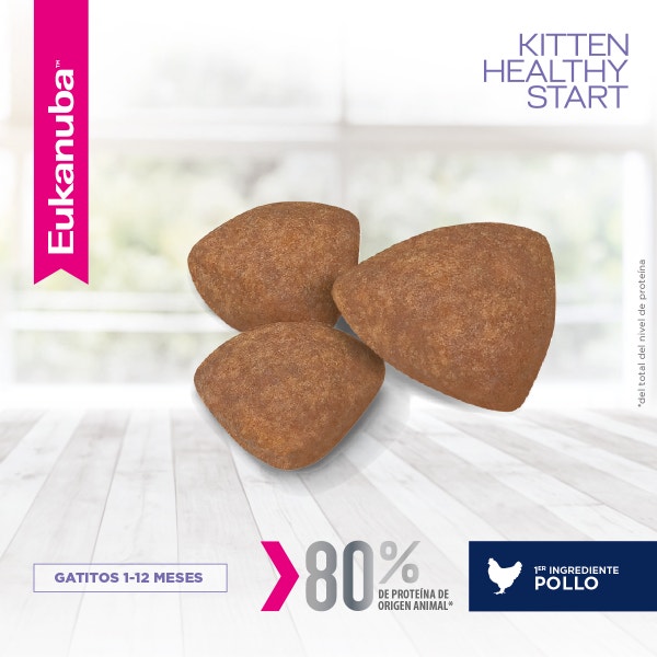 Eukanuba Gatito Healthy Start - 3