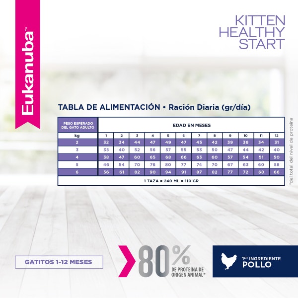 Eukanuba Gatito Healthy Start - 4