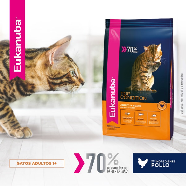 Eukanuba Gato Adulto - Top Condition - 1