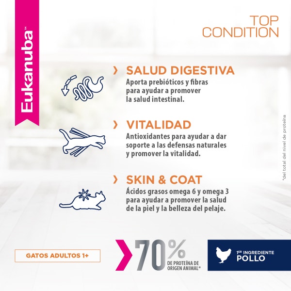Eukanuba Gato Adulto - Top Condition - 2