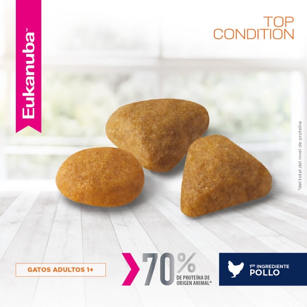 Eukanuba Gato Adulto - Top Condition - 3