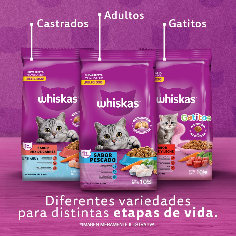 Whiskas Pescado para Gato Adulto - 7