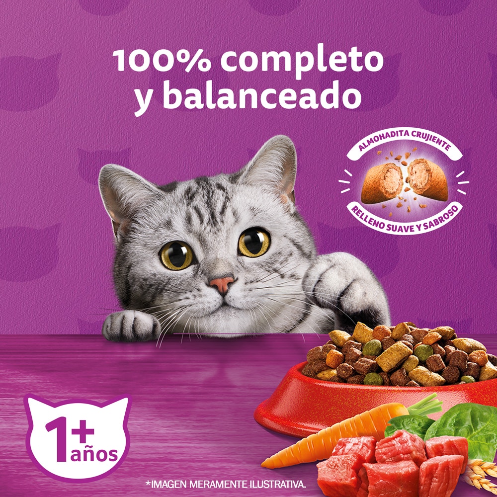 Whiskas Carne para Gato Adulto - 3
