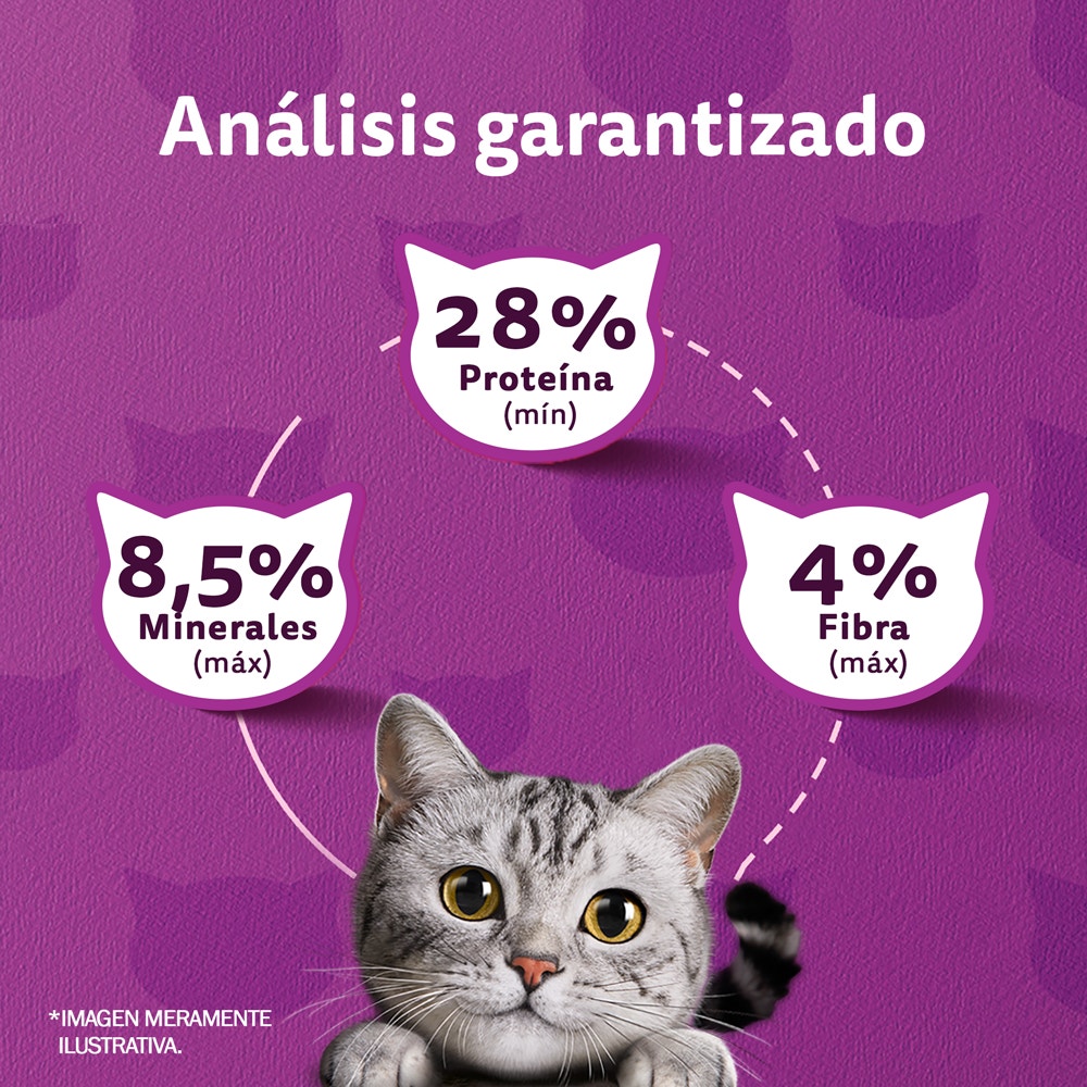 Whiskas Pollo y Leche para Gato Adulto - 5