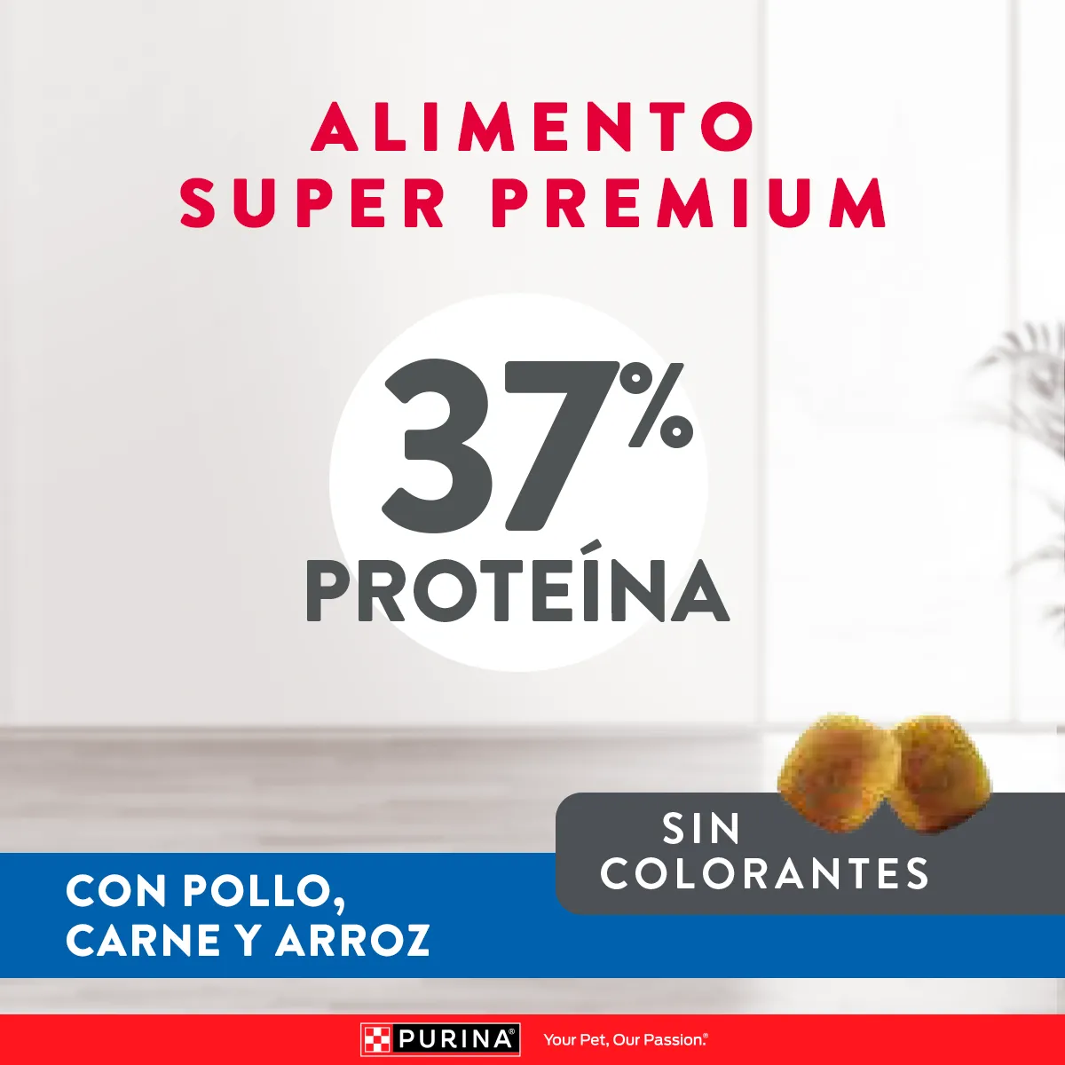 Excellent Gatitos Pollo y Arroz - 4