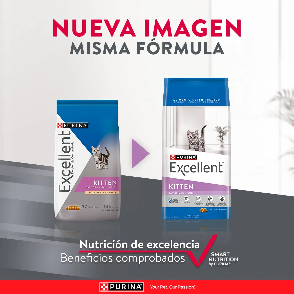 Excellent Gatitos Pollo y Arroz - 2