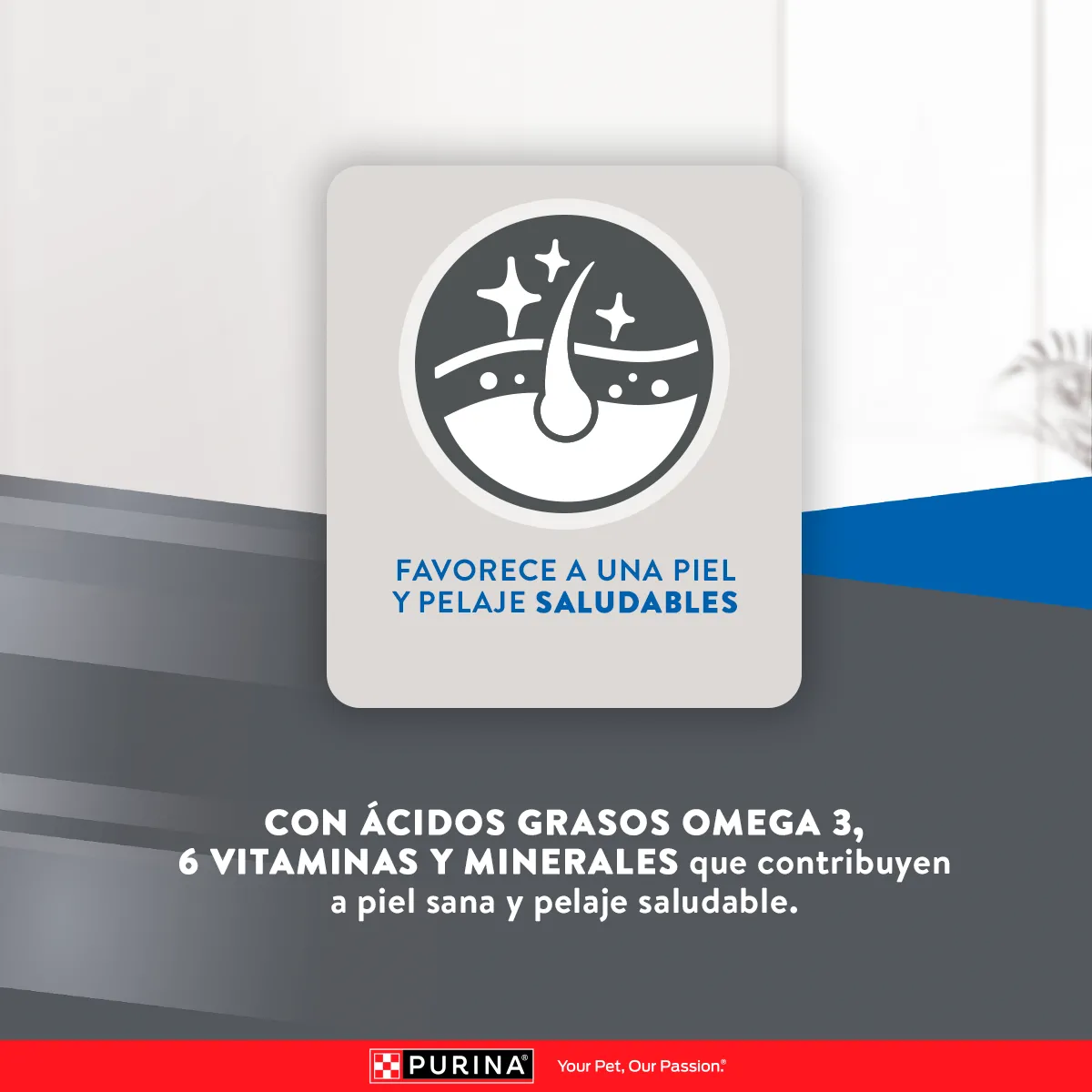 Excellent Gato Adulto con Pollo y Arroz - 6