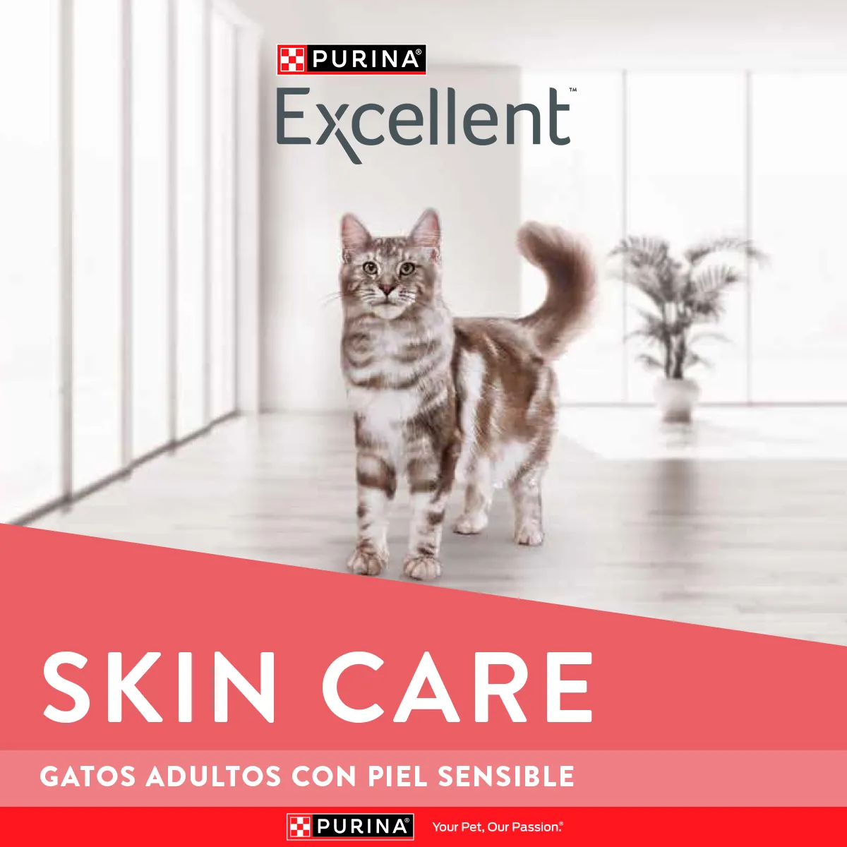 Excellent Gatos Adultos Piel Sensible con Salmón - 3