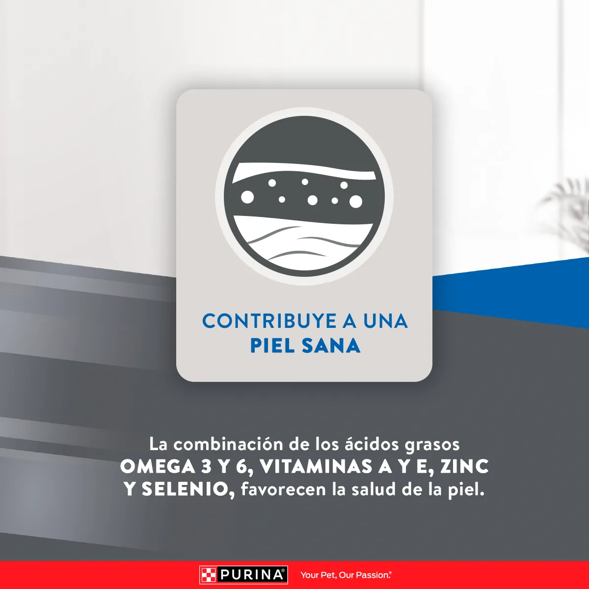 Excellent Gatos Adultos Piel Sensible con Salmón - 8