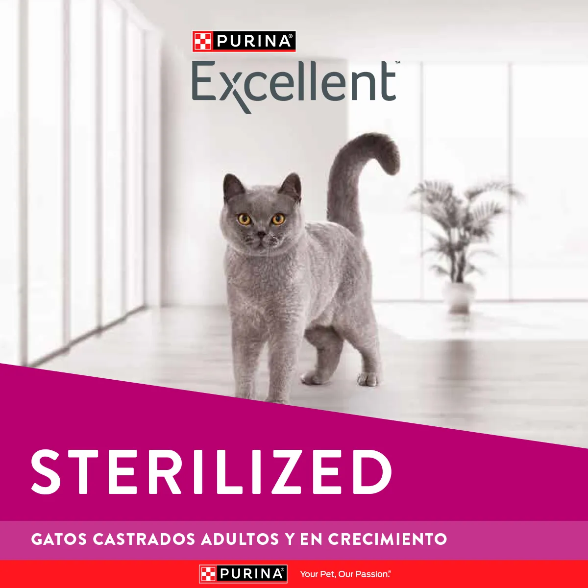 Excellent Esterilizados para Gato Adulto - 3
