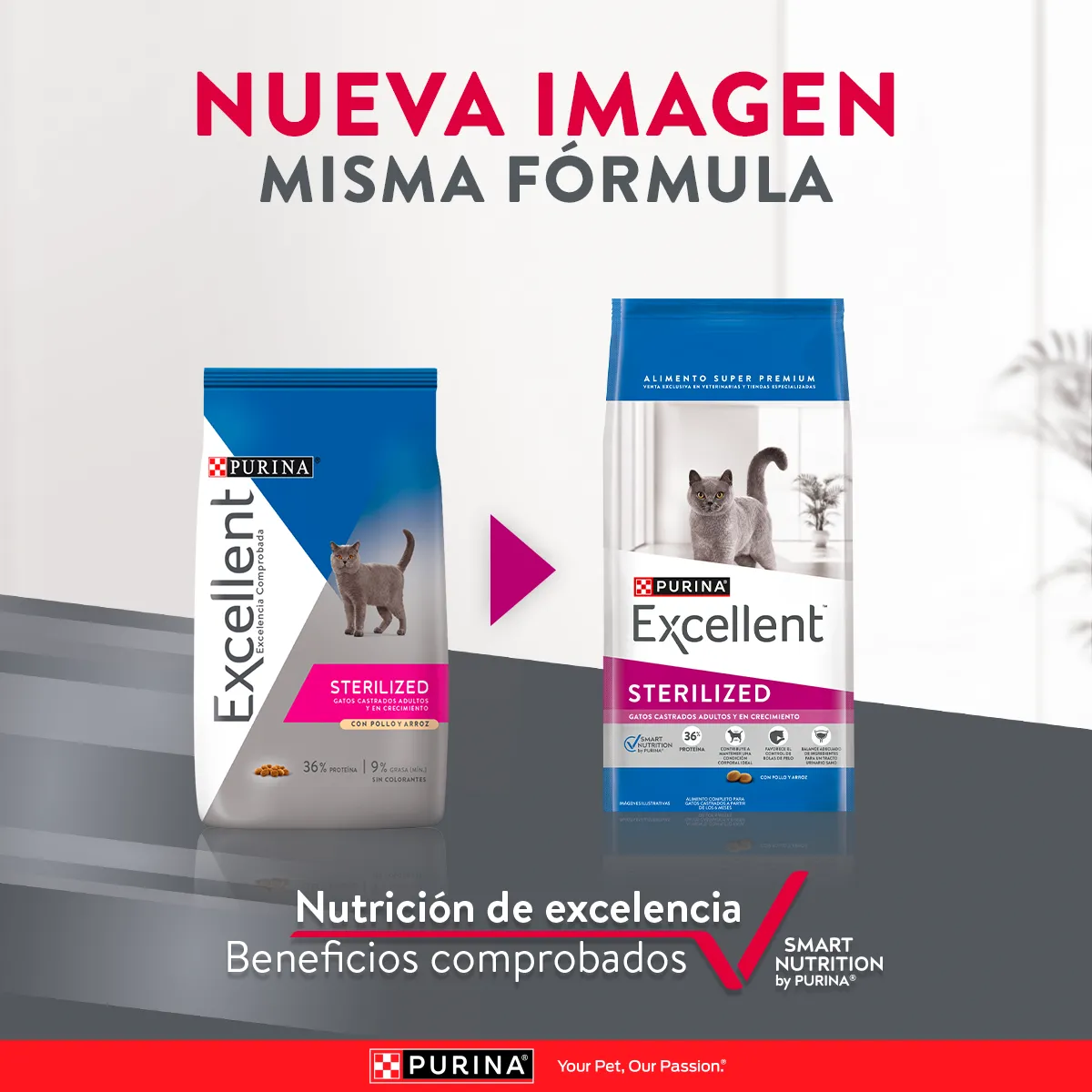 Excellent Esterilizados para Gato Adulto - 2