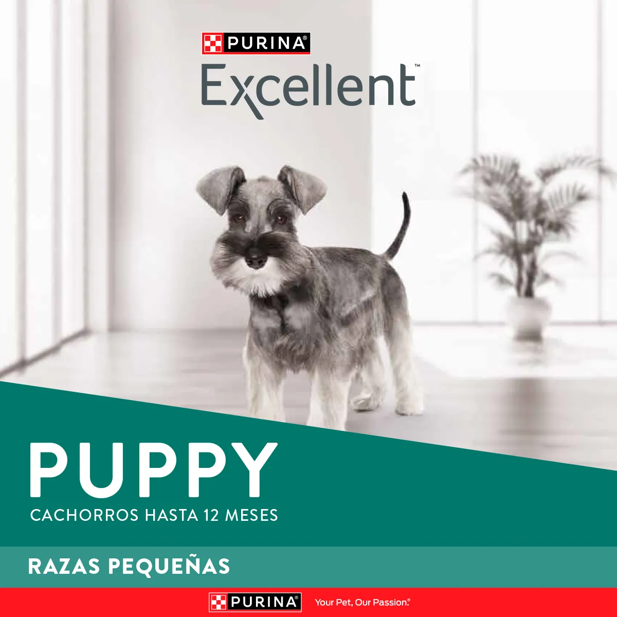 Excellent Cachorro Pollo y Arroz para Perro Cachorro Raza Pequeña - 3