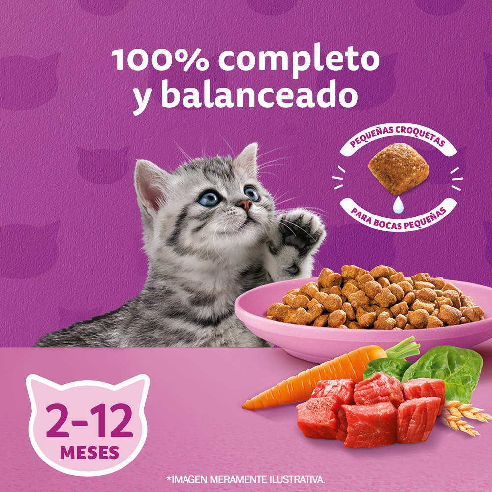 Whiskas Alimento Seco Carne y Leche para Gato Cachorro - 3